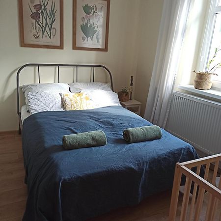 Apartament Przy Wandy ジェロナ・グラ エクステリア 写真